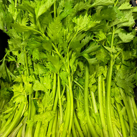 新季白唐芹<br>农场直供