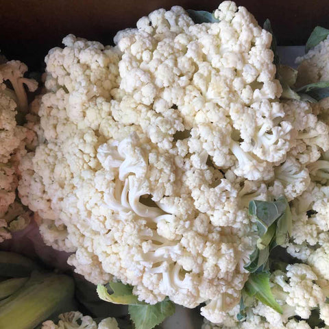 新季椰菜花<br>农场直供