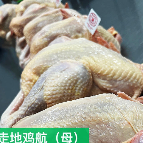 半年的走地土母鸡•小鸡航<br>/原生态散养•急冻递送
