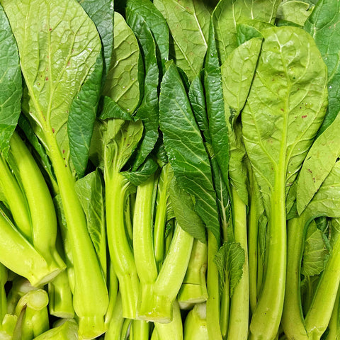 永高农场油菜苗<br>农场直供