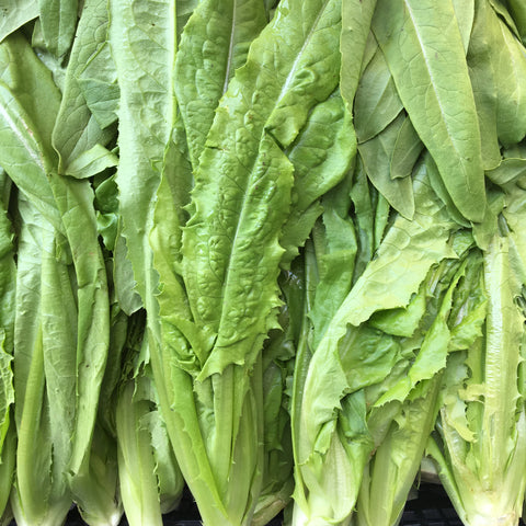 精选A菜<br>一级精选供餐馆