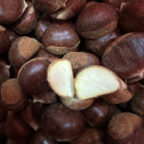 高山油栗2磅<br>Fresh Chestnut