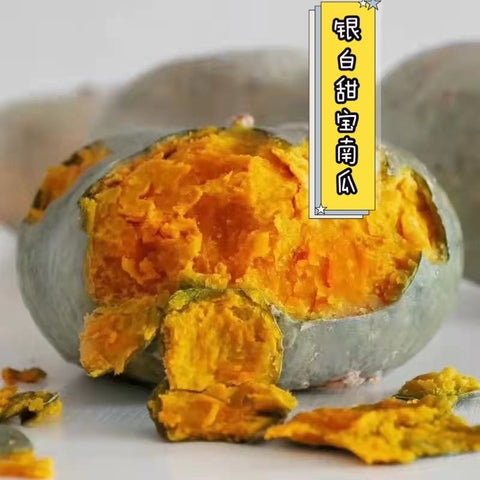 银白甜宝南瓜<br>老吴农场
