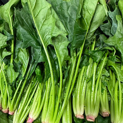 新季菠菜<br>/一级精选供餐馆