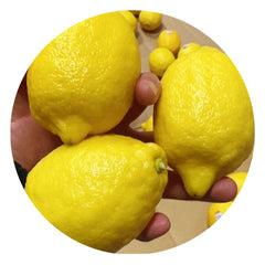 Sunkist®柠檬大头3个<br>高维生素C•美白