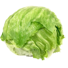 魁北克球生菜<br>Iceberg lettuce