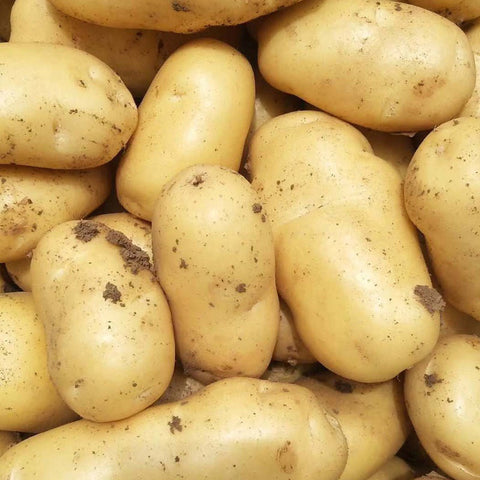 黄土豆<br>Yellow Potatos