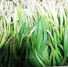 【优惠尝鲜】老吴农场头茬韭菜<br>有机方式种植