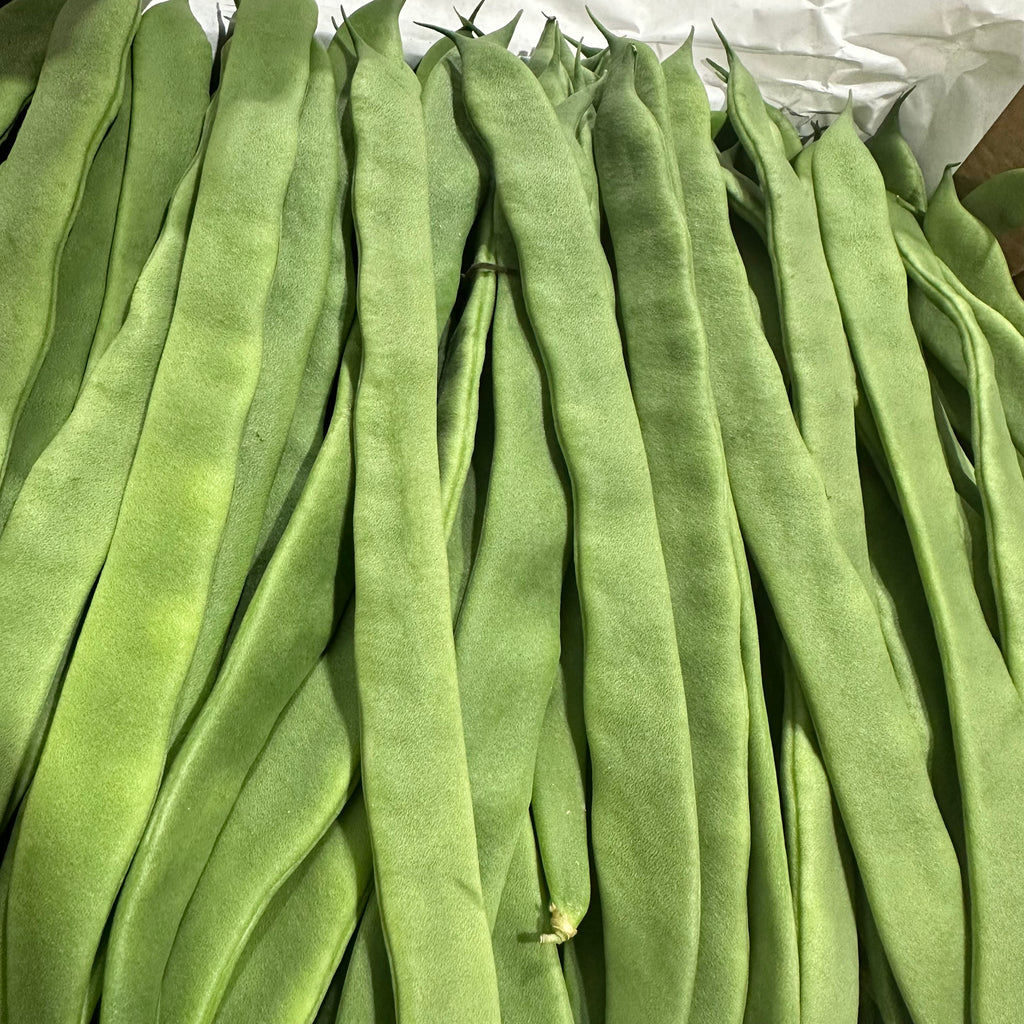 长扁豆<br>/摩洛哥空运