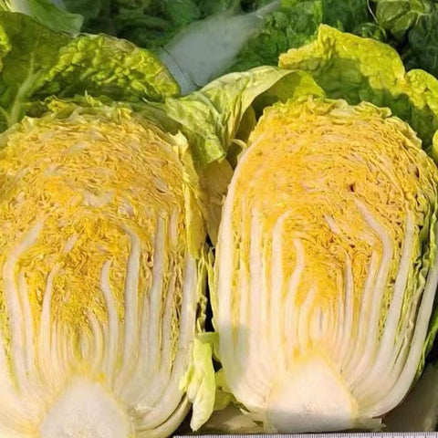 有机龙芽皇白菜<br>老吴农场•纤维少