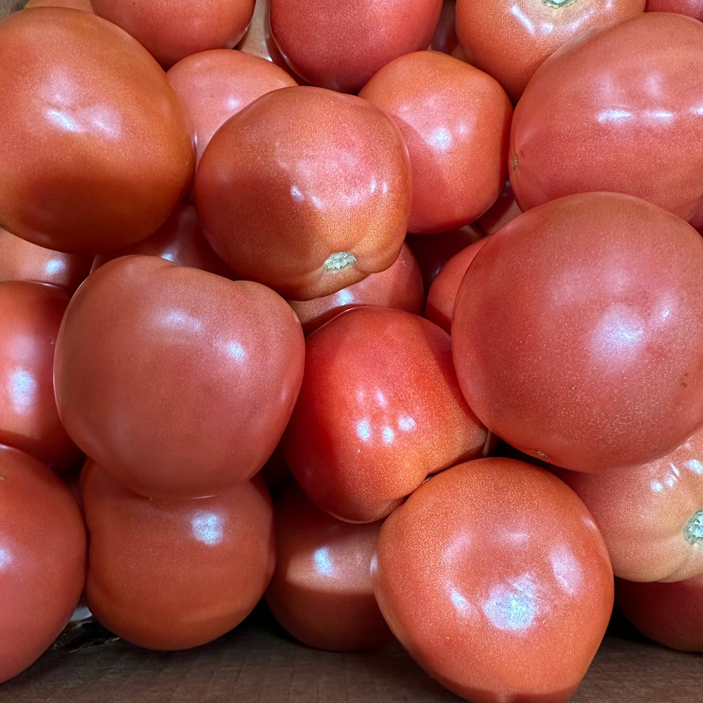 牛排番茄<br>Beefsteak Tomatoes