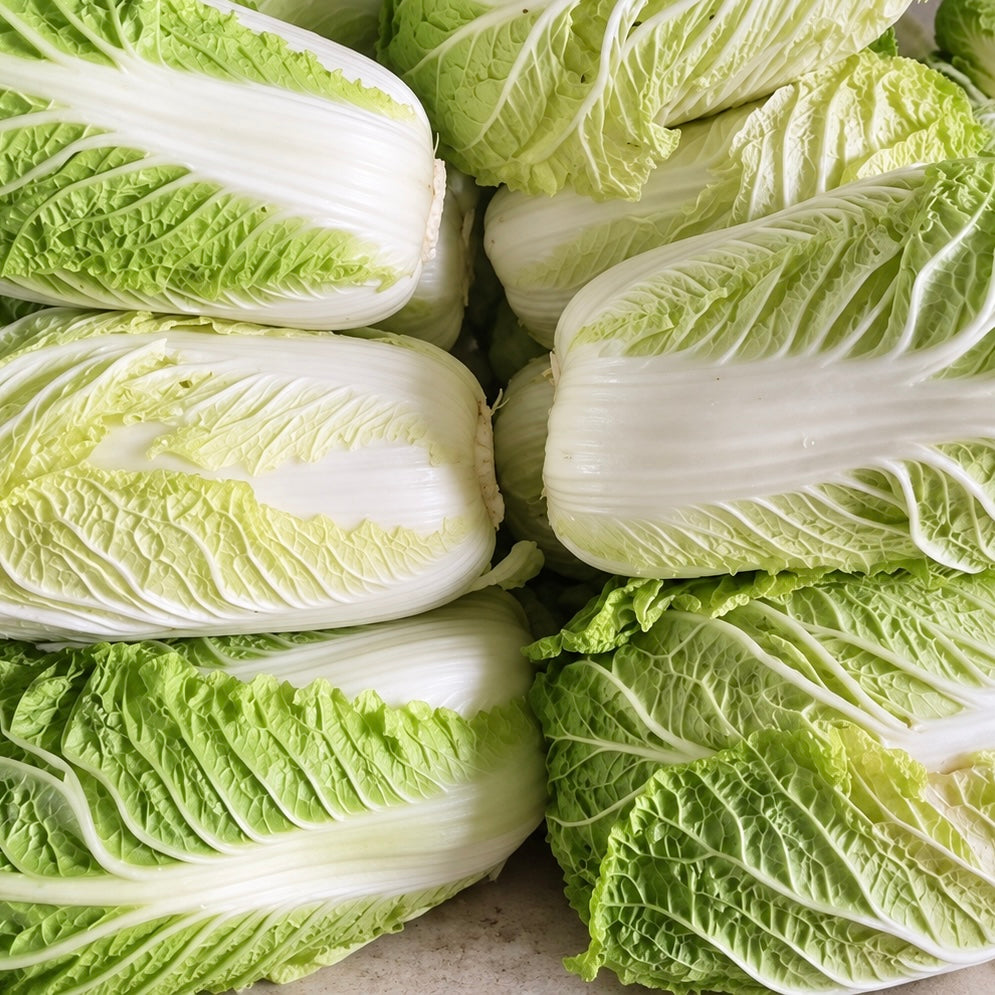 【有机认证】淡泉农场有机大白菜<br>/生长的周期长