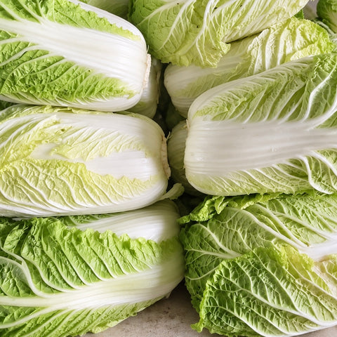 【有机认证】淡泉农场有机大白菜<br>/生长的周期长