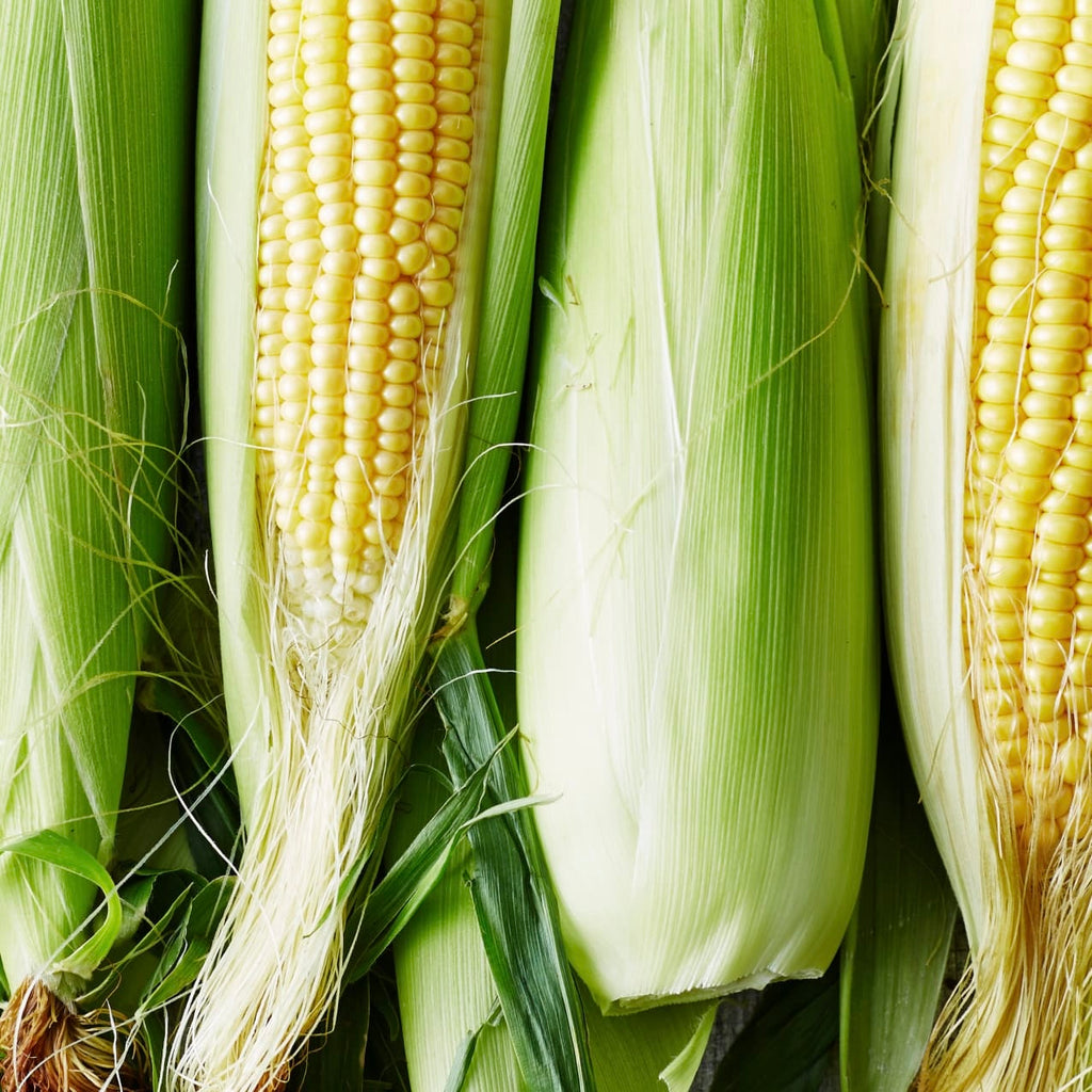鲜甜嫩黄玉米5根<br>/Sweet YellowCorn