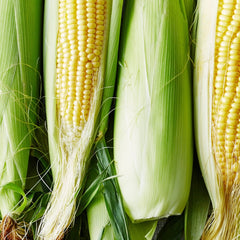 鲜甜嫩黄玉米5根<br>/Sweet YellowCorn