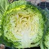 老吴农场清甜圆白菜<br>明星菜