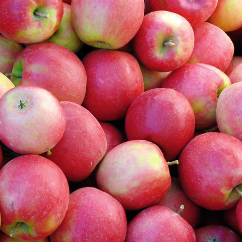 本地农场嘎拉苹果<br>Local Gala Apples