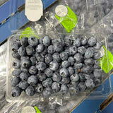 OZBlu®蓝莓大盒<br>/脆甜