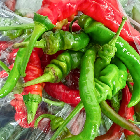 老吴农场有机大麻花螺丝椒<br>螺纹均匀•辣度中辣