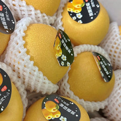 正宗秋月梨<br>/又水又甜，果肉细腻无渣