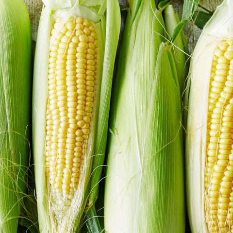 鲜甜嫩黄玉米5根<br>/Yellow Sweet Corn