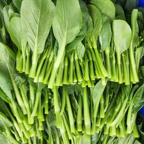 油菜苗<br>一级精选供餐馆