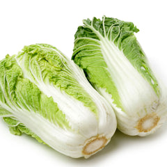 现收大白菜<br>/炖炒火锅都赞