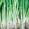 小青葱2把<br>/Green onions