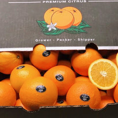 【三十年老树】古树甜橙<br> Bravante传家宝•甜嫩多汁