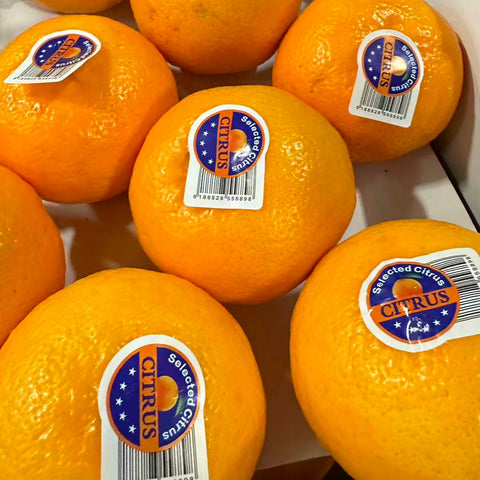 沃柑<br>甜•有籽