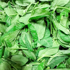 新季豆苗尖<br>/清炒火锅必备