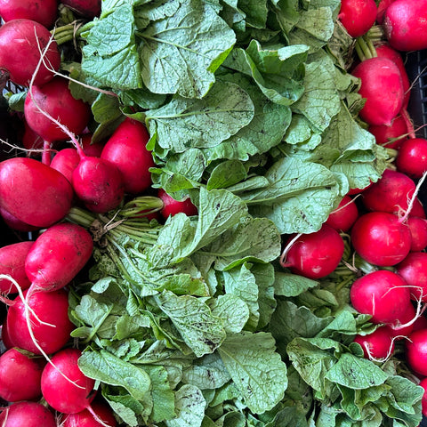 本地农场带叶萝卜缨2扎<br>Local Fresh Radish