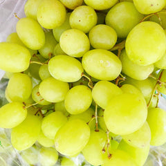 秋脆®无籽青提<br>/脆甜可口