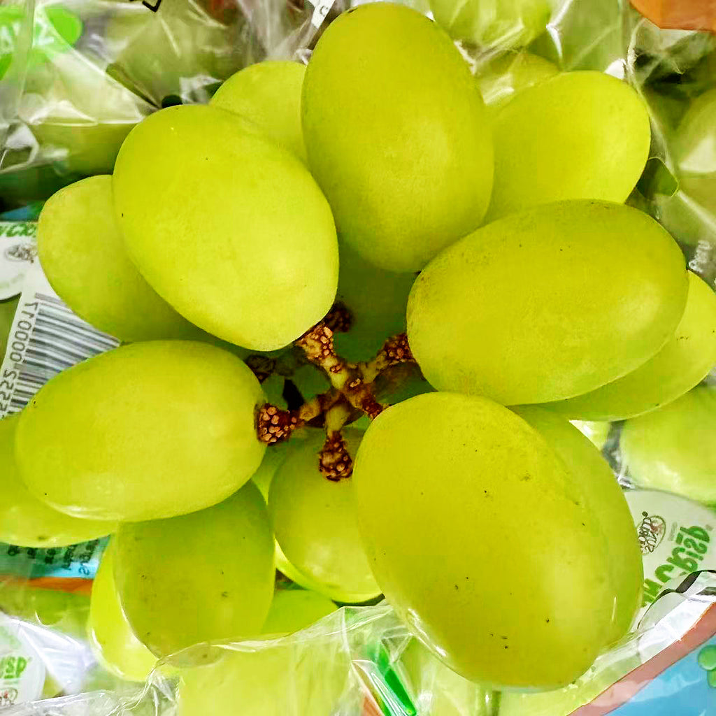 JJJJ顶级秋脆王<br>/超大粒，极致脆甜皮薄化渣