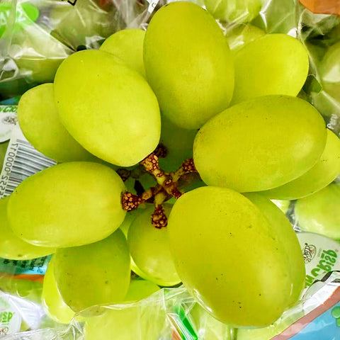 顶级JJJJ秋脆王<br>/脆甜爽口化渣