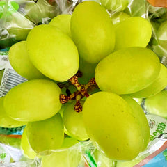 顶级JJJJ秋脆王<br>/脆甜爽口化渣