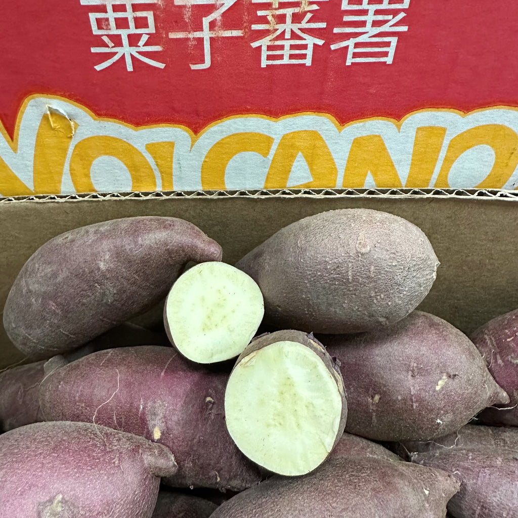 新季栗子番薯<br>Oriental Yam