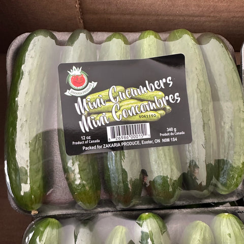 【0元领满$88】本地小黄瓜<br>农场直供