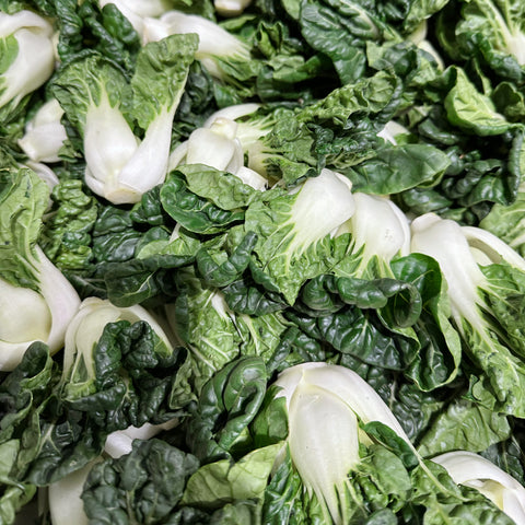 精选奶油苗<br>一级精选供餐馆