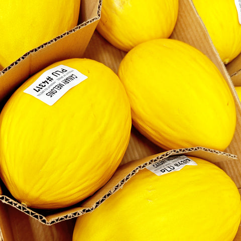 巴西金丝雀蜜瓜S6“<br>甜蜜瓜