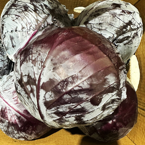 【特菜】本地农场紫甘蓝<br>/富含花青素•高抗氧化