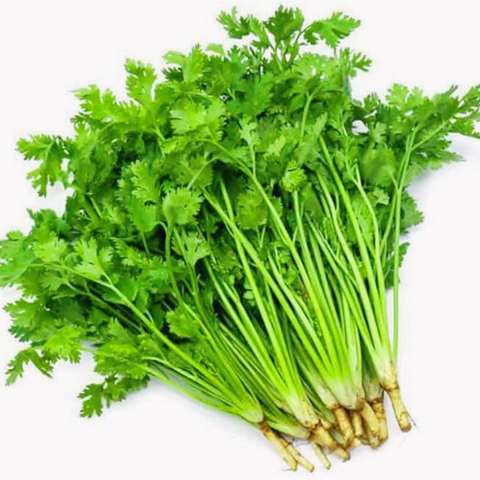 鲜香菜<br>农场直供