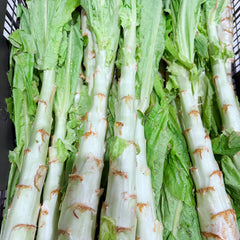现收嫩莴笋<br>/一级精选供餐馆