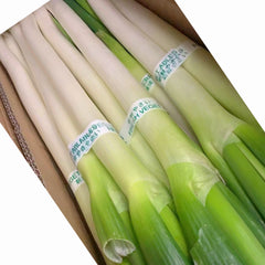 京葱1捆<br>/粗壮