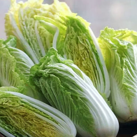 皇帝菜•小白菜<br>膳食纤维含量高
