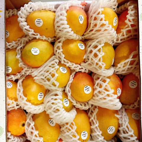原箱空运蜂蜜小芒果19-22个<br>Honey Mango in Box