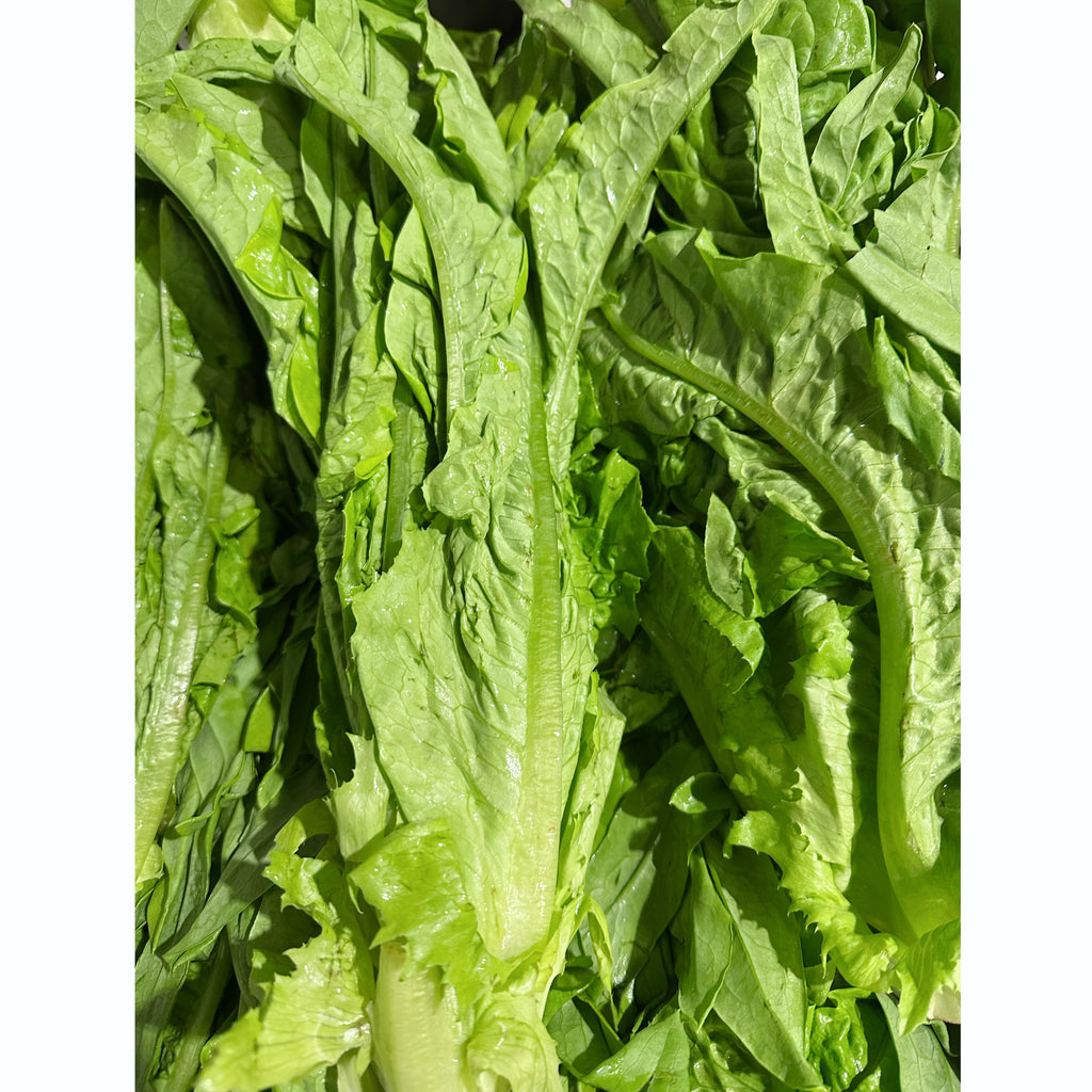 【时令】 A菜<br>/快炒蒜蓉凉拌