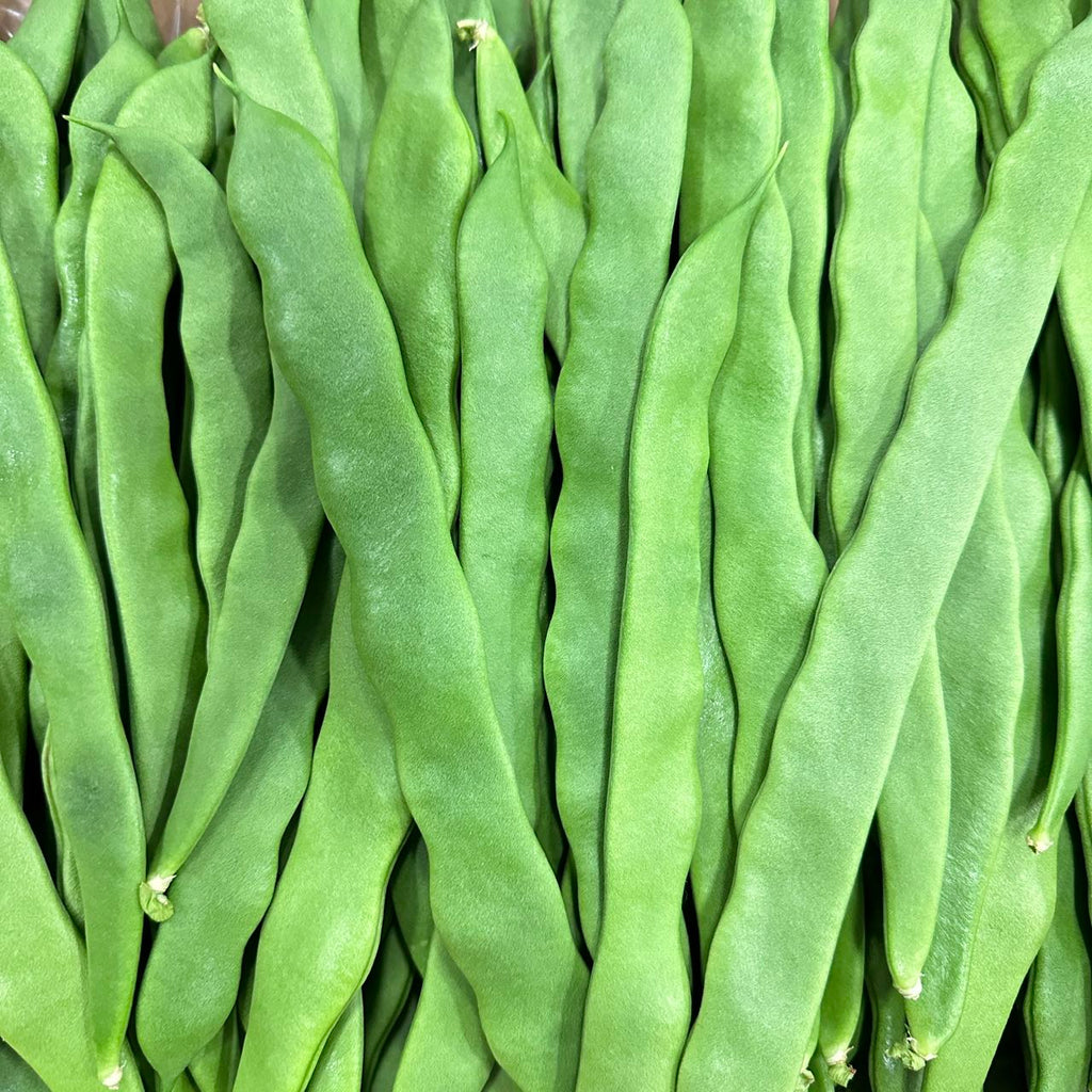 空运比利时长扁豆<br>Belgium Flat Beans