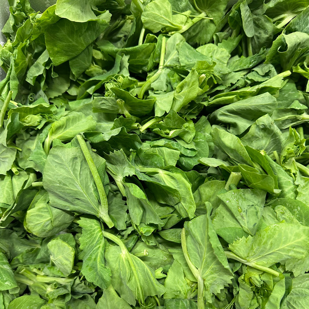 本地嫩豆苗尖Tips<br>/清炒火锅必备