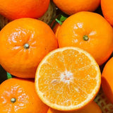 沃柑<br>甜•有籽